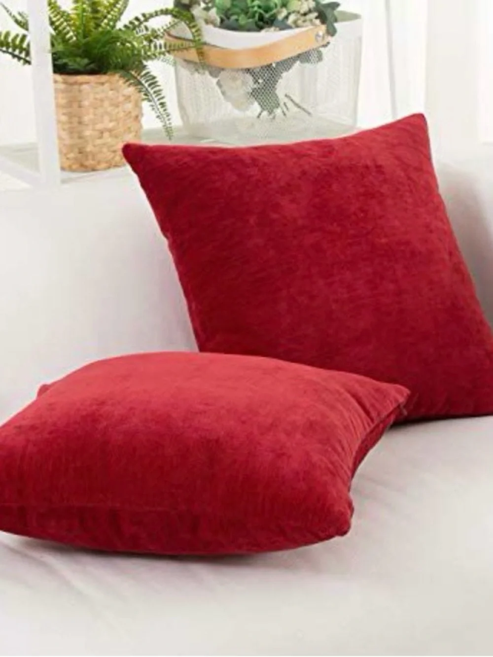 None soft red
